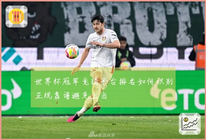 乐鱼体育资讯封面图