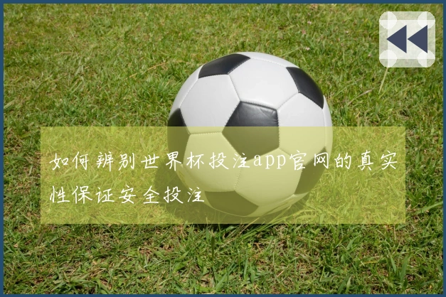如何辨别世界杯投注app官网的真实性保证安全投注