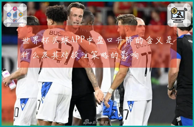 世界杯买球APP中盘口升降的含义是什么及其对投注策略的影响