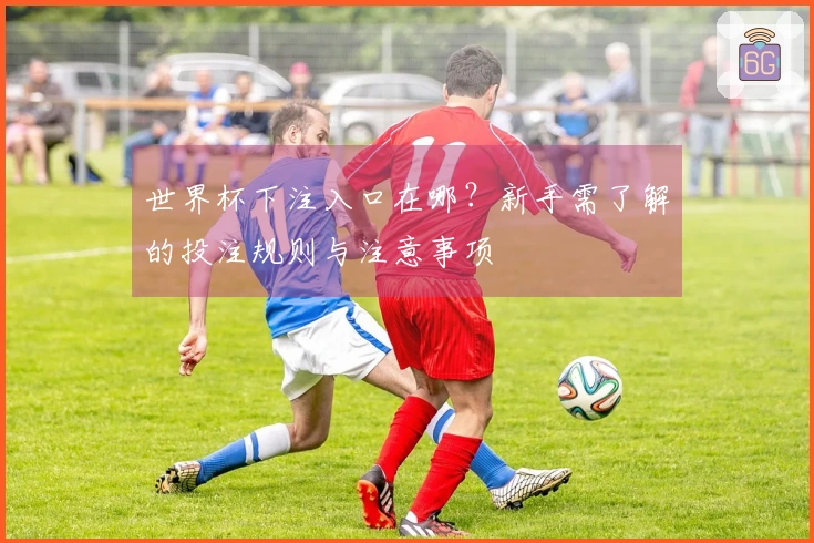 世界杯下注入口在哪？新手需了解的投注规则与注意事项