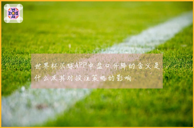 世界杯买球APP中盘口升降的含义是什么及其对投注策略的影响
